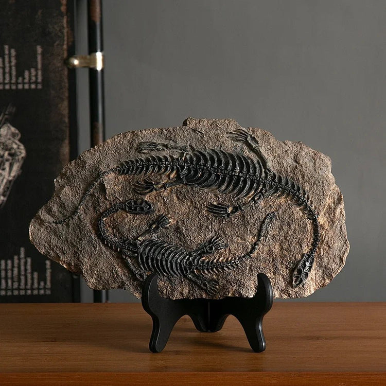 Dinosaur Fossil Statue - My Own Cosmos