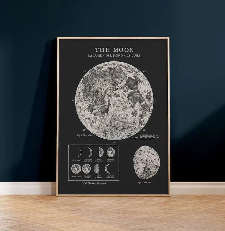 Vintage Astronomy Canvas Wall Art - My Own Cosmos