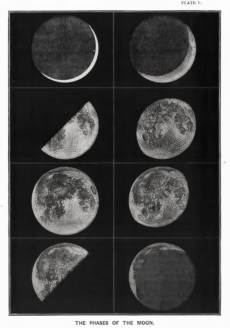 Vintage Astronomy Canvas Wall Art - My Own Cosmos