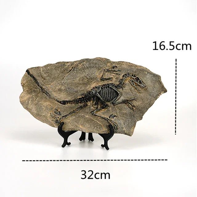 Dinosaur Fossil Statue - My Own Cosmos