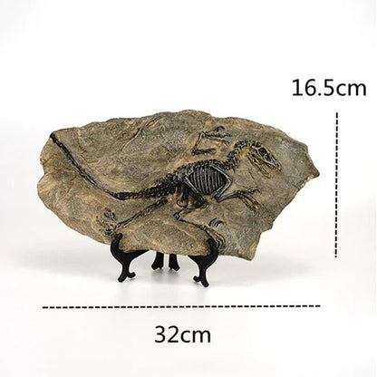 Dinosaur Fossil Statue - My Own Cosmos