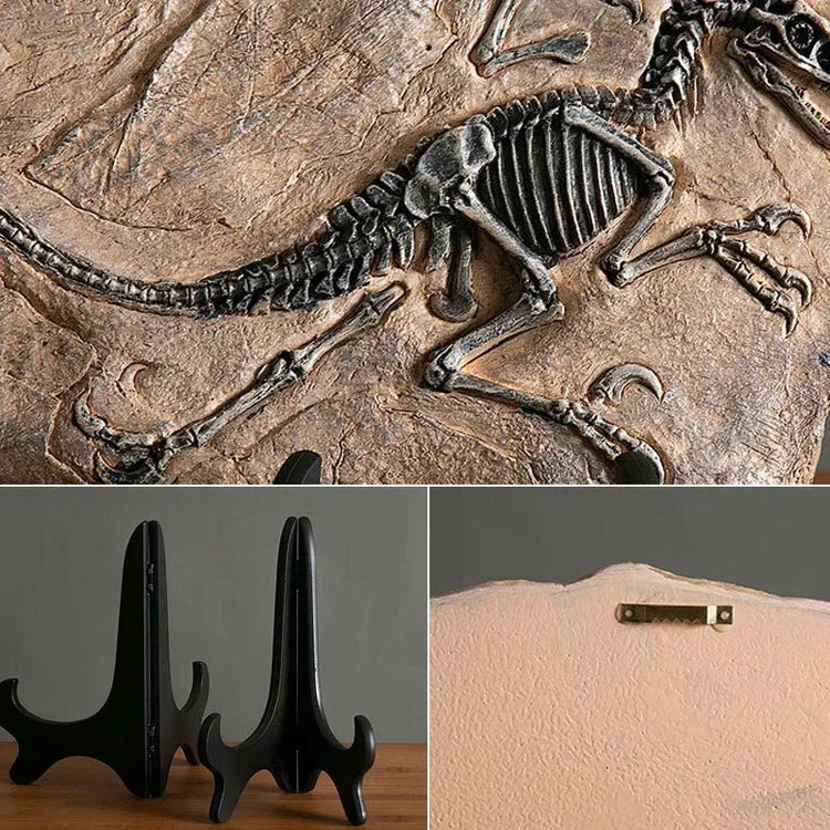 Dinosaur Fossil Statue - My Own Cosmos