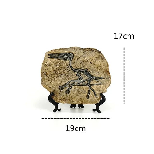 Dinosaur Fossil Statue - My Own Cosmos