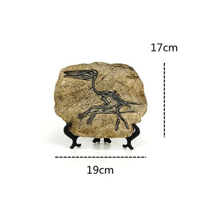 Dinosaur Fossil Statue - My Own Cosmos