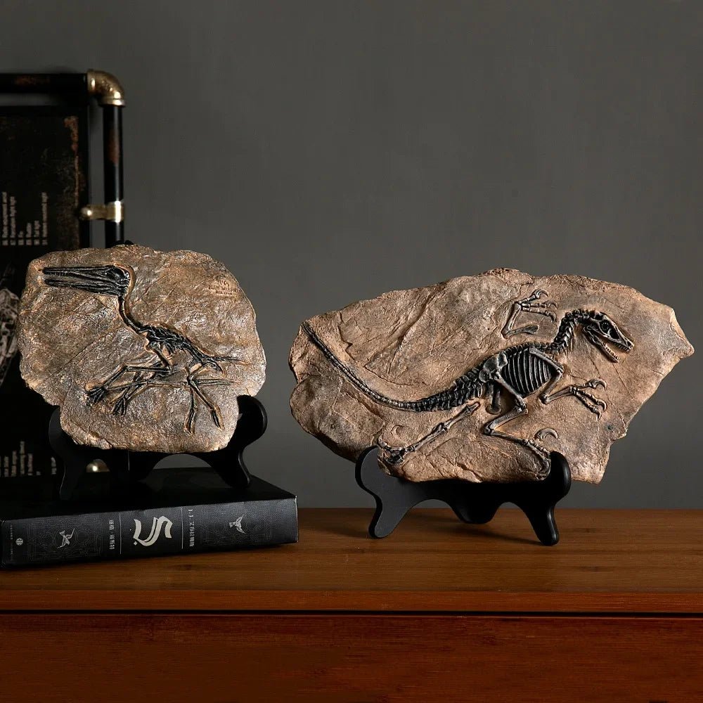 Dinosaur Fossil Statue - My Own Cosmos