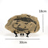 Dinosaur Fossil Statue - My Own Cosmos