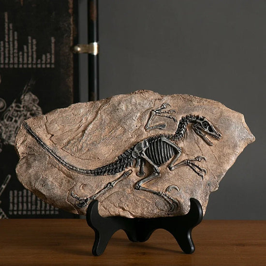 Dinosaur Fossil Statue - My Own Cosmos