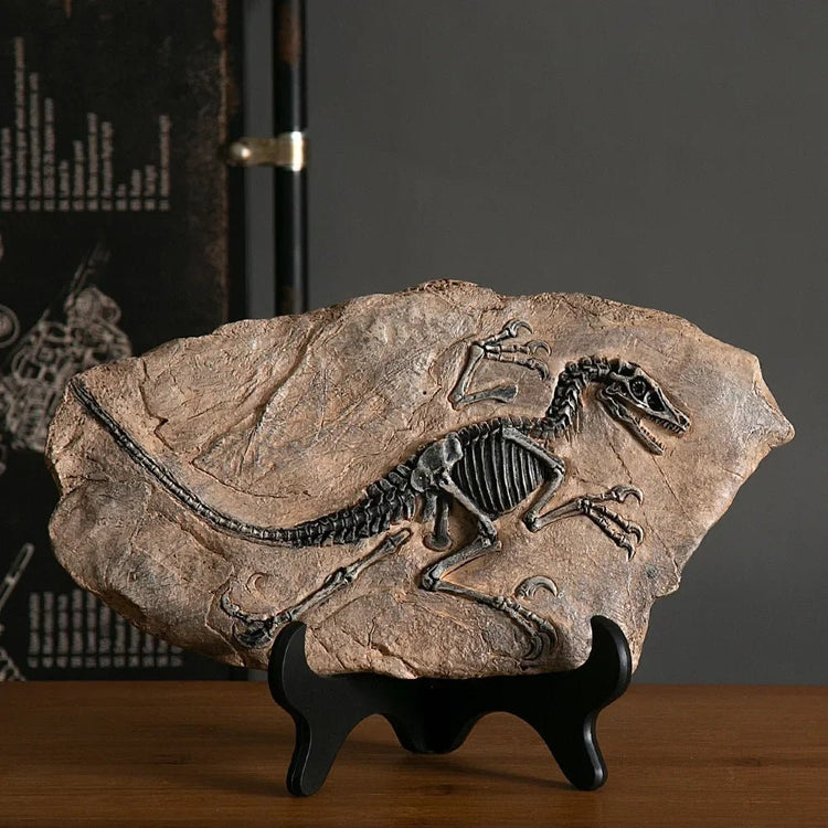 Dinosaur Fossil Statue - My Own Cosmos