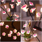 Enchanting LED Bonsai Tree Lamp - My Own Cosmos