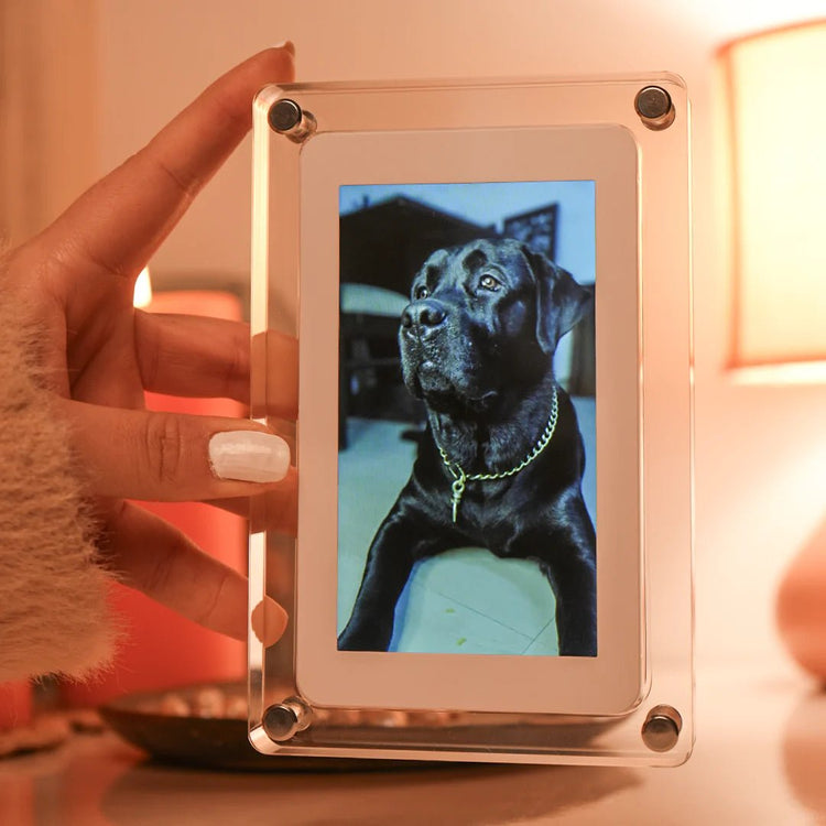 Moving Picture Frame Ultra - HD Video Display - My Own Cosmos