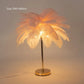 Ostrich Feather LED Floor Lamp - My Own Cosmos