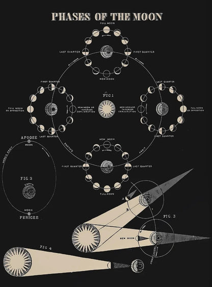 Vintage Astronomy Canvas Wall Art - My Own Cosmos