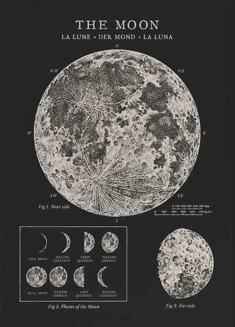 Vintage Astronomy Canvas Wall Art - My Own Cosmos