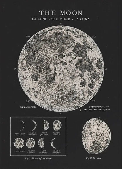 Vintage Astronomy Canvas Wall Art - My Own Cosmos
