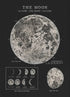 Vintage Astronomy Canvas Wall Art - My Own Cosmos