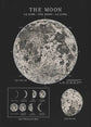 Vintage Astronomy Canvas Wall Art - My Own Cosmos