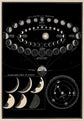 Vintage Astronomy Canvas Wall Art - My Own Cosmos