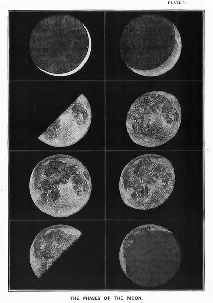 Vintage Astronomy Canvas Wall Art - My Own Cosmos
